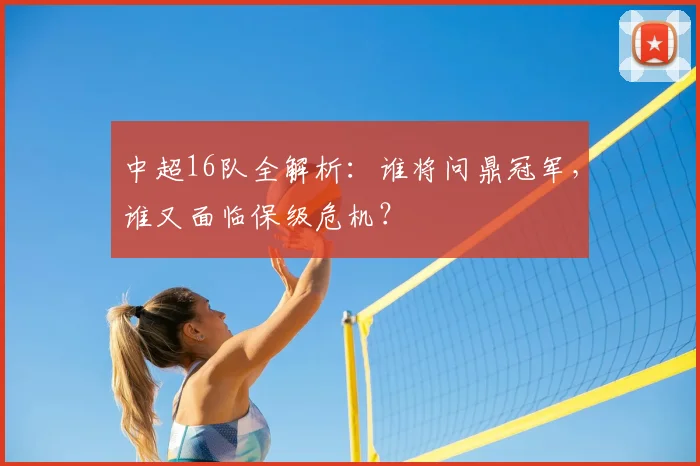 中超16队全解析:谁将问鼎冠军,谁又面临保级危机?
